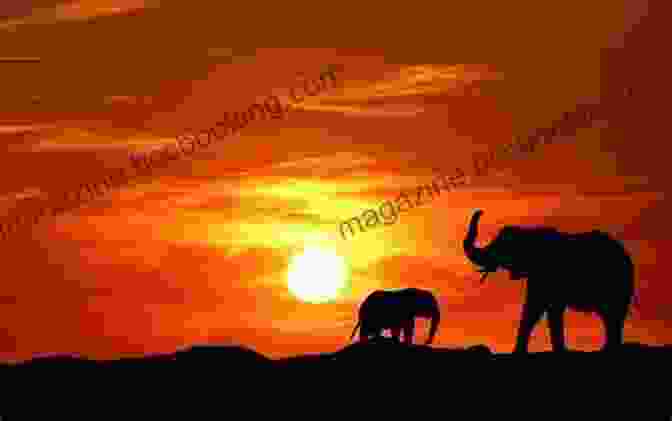 A Breathtaking African Sunset, With An Elephant Herd Silhouetted Against The Golden Sky AFRICAN ADVENTURE STORIES VOLUME TWO