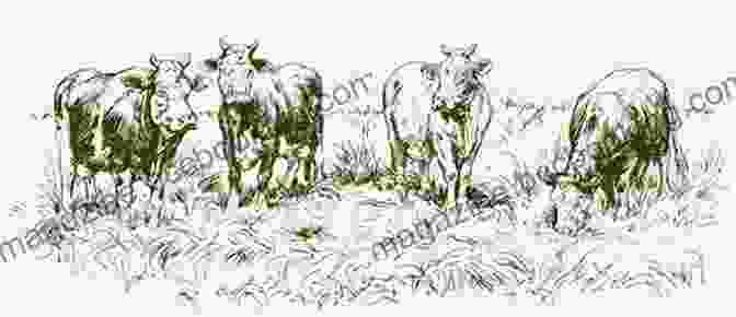 A Drawing Of A Cow Grazing In A Field How To Draw: Farm Animals: In Simple Steps