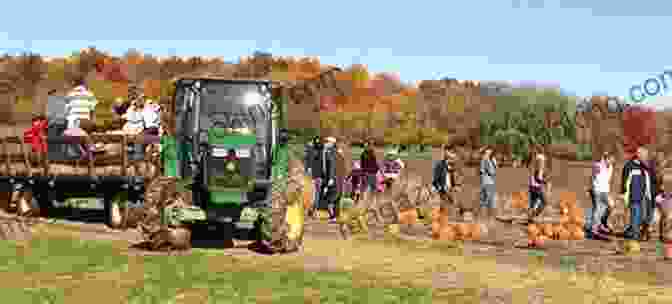 A Family Enjoying A Hayride Through A Pumpkin Farm Trip To The Pumpkin Farm: A Branches (Owl Diaries #11)