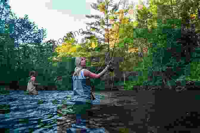 A Fly Fisher Wading In The Au Sable River In Michigan Fly Fishing In The Midwest