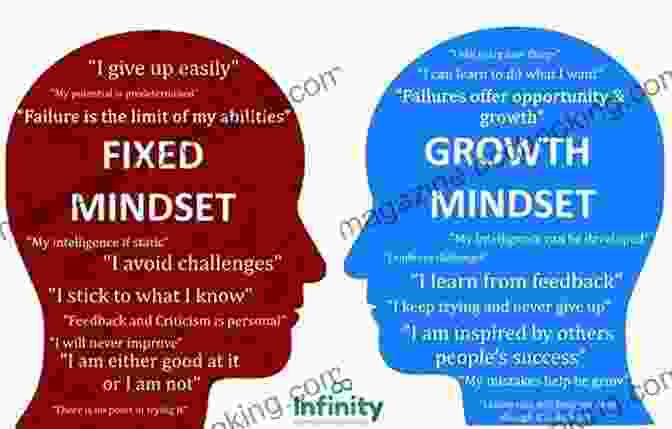 A Graphical Representation Of The Growth Mindset, Emphasizing The Importance Of Embracing Challenges, Learning From Mistakes, And Valuing The Process Over The Outcome. Your Brain Has A Secret: The Stupendously Simple Guide To Mindfulness For Anyone Who Never Learned This Simple Trick