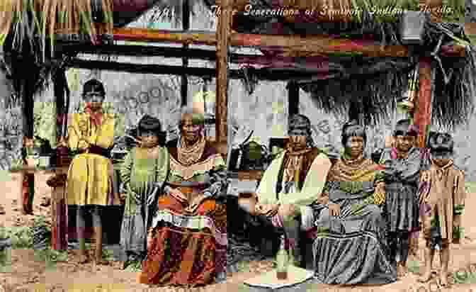 A Group Of Native American Indians In Florida Florida S American Indians Through History (Social Studies Readers)