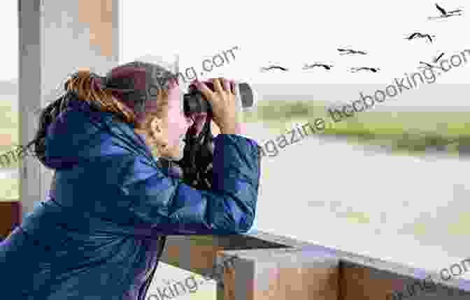 A Person Sitting On A Park Bench, Observing Birds With Binoculars. The Rural Life Verlyn Klinkenborg