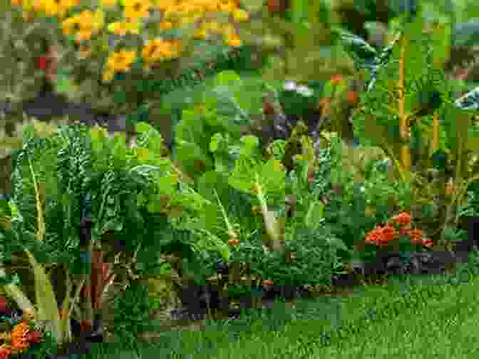 A Vibrant Backyard Garden Bursting With Fresh Vegetables, Fruits, Herbs, And Flowers Project Garden: A Month By Month Guide To Planting Growing And Enjoying ALL Your Backyard Has To Offer