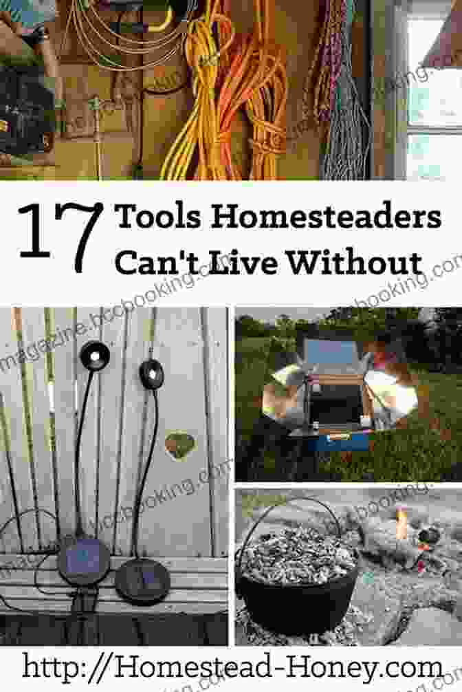 An Array Of Tools And Equipment For Homesteading The Homesteading Handbook: The Essential Beginner S Homestead Planning Guide For A Self Sufficient Lifestyle