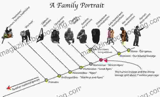 An Evolutionary Diagram Depicting The Potential Ancestors And Adaptations That May Have Led To The Development Of Bigfeet Creatures. Meet The Bigfeet (The Yeti Files #1)