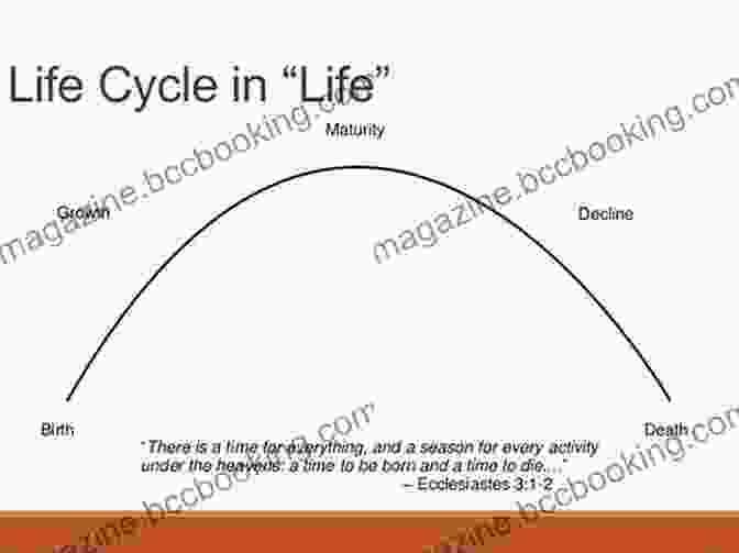 An Illustration Of The Cycle Of Life, With Images Representing Birth, Growth, Maturity, Decline, And Death The Wheel Of Life: A Memoir Of Living And Dying