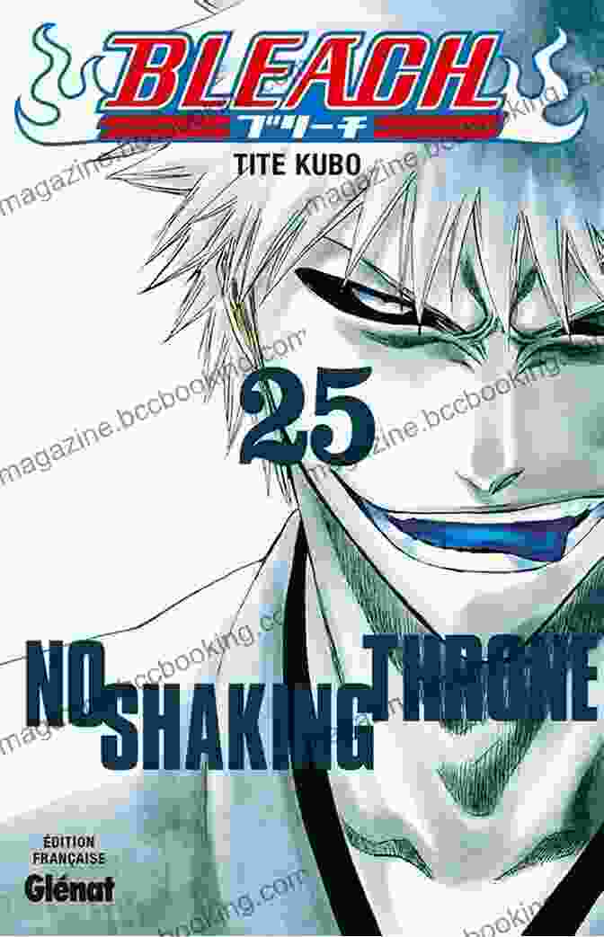 Bleach Vol 25: No Shaking Throne Cover Art Featuring Ichigo Kurosaki Facing Off Against Kenpachi Zaraki Bleach Vol 25: No Shaking Throne