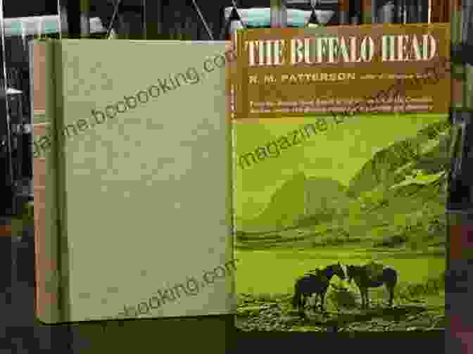 Buffalo Head Patterson Book Cover Featuring An Intriguing Image Of A Buffalo Skull In Front Of A Desolate Landscape The Buffalo Head R M Patterson