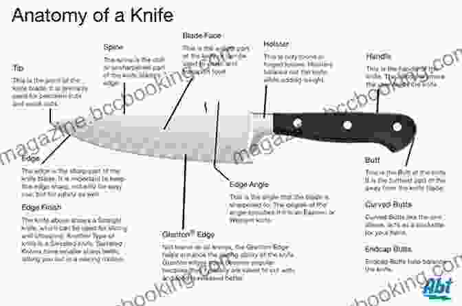 Detailed Graphic Showcasing The Anatomy Of A Knife The Sharper Your Knife The Less You Cry: Love Laughter And Tears In Paris At The World S Most Famous Cooking School