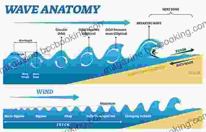 Diagram Illustrating The Forces Acting On A Surfer As They Ride A Wave The Science Of Surfing: A Surfside Girls Guide To The Ocean