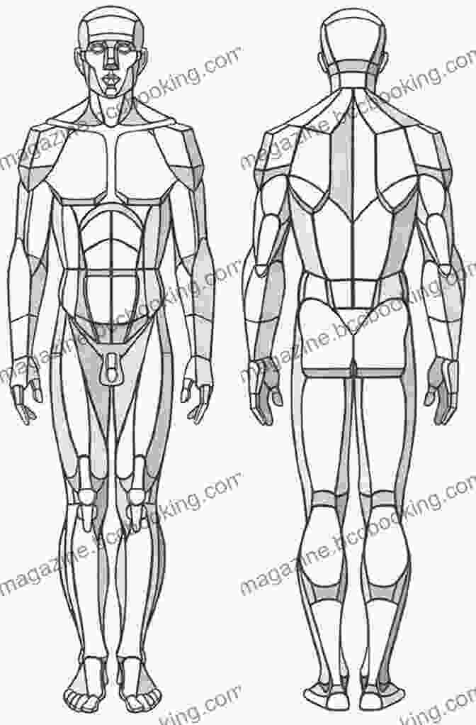 Diagram Of Human Anatomy For Figure Drawing Figure Drawing For Dummies Kensuke Okabayashi