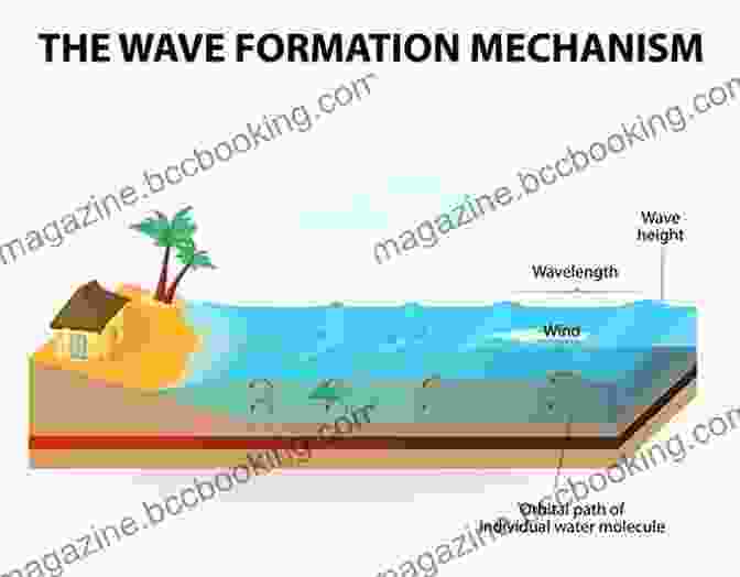 Diagram Of Wave Formation, Showing The Interaction Of Wind, Water, And Gravity The Science Of Surfing: A Surfside Girls Guide To The Ocean