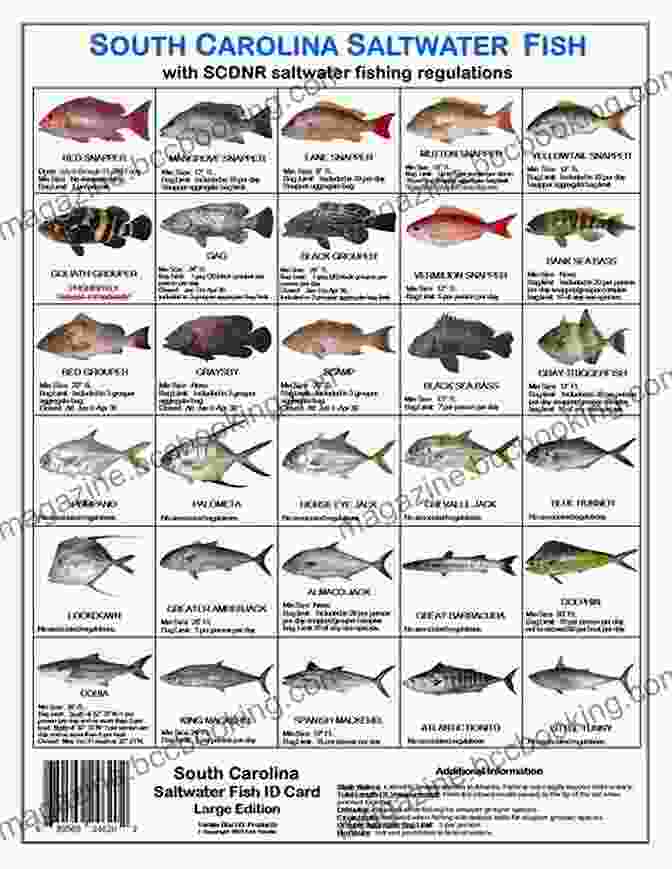 Diversity Of Saltwater Fish Species Ken Schultz S Field Guide To Saltwater Fish