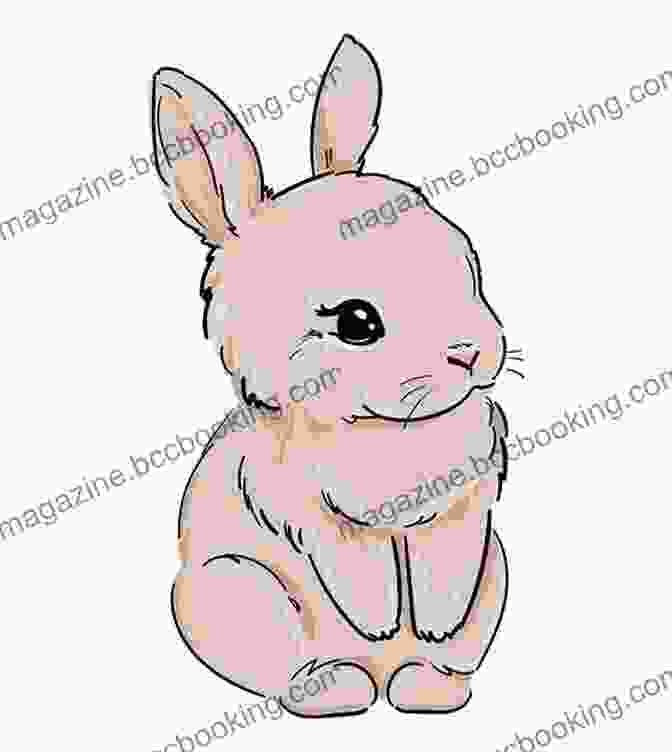 Drawing Of A Cute Fluffy Bunny Drawing For Kids And Beginners: Learn To Draw Cute Animals In Simple Steps