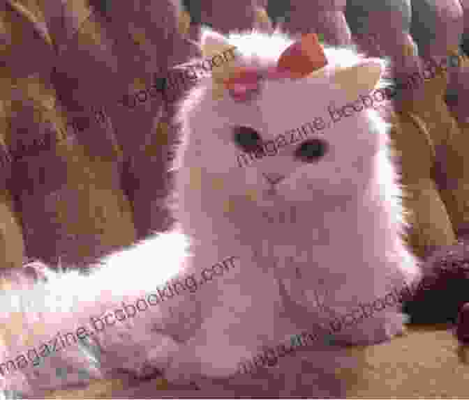 Itty Bitty Princess Kitty, A Small White Cat With A Pink Bow, Is Sitting On A Pink Cushion. She Is Looking At The Reader With Big, Curious Eyes. The Copycat (Itty Bitty Princess Kitty 8)