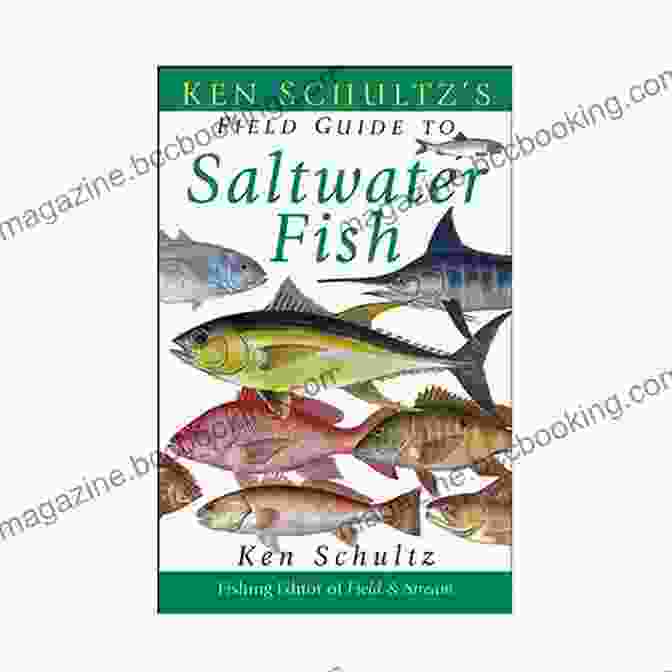 Ken Schultz Field Guide To Saltwater Fish Book Cover Ken Schultz S Field Guide To Saltwater Fish