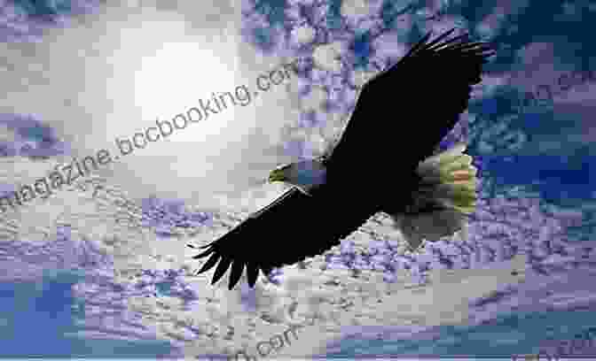 Majestic Eagle Soaring Through The Sky Ohio Wildlife Encyclopedia: An Illustrated Guide To Birds Fish Mammals Reptiles And Amphibians
