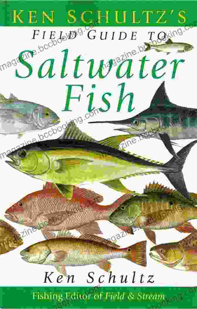 Marine Ecosystems Featured In The Ken Schultz Field Guide To Saltwater Fish Ken Schultz S Field Guide To Saltwater Fish