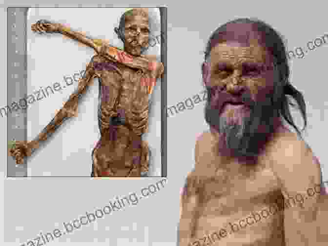 Ötzi The Iceman, A Remarkably Preserved Prehistoric Human Ten Discoveries That Rewrote History