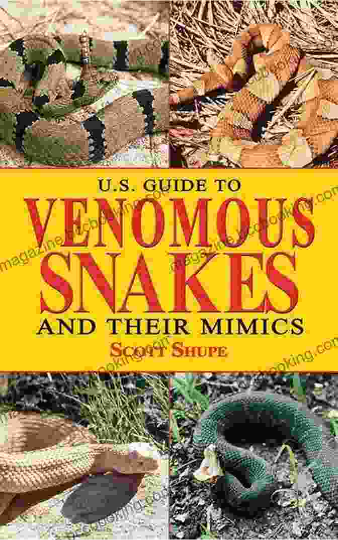 Snake Mimics U S Guide To Venomous Snakes And Their Mimics