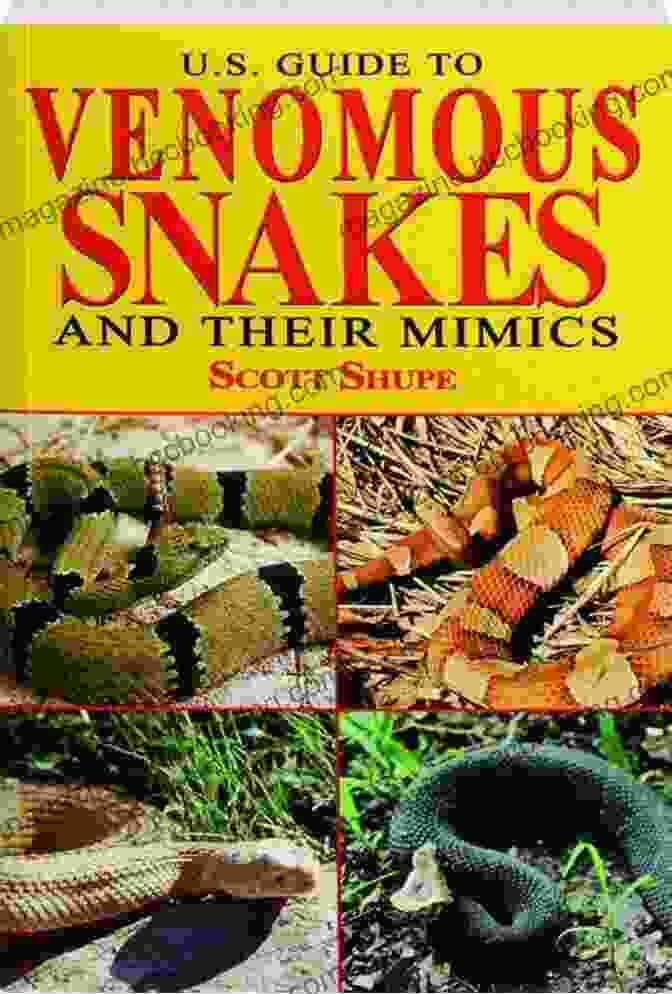 Snake Venom Effects U S Guide To Venomous Snakes And Their Mimics