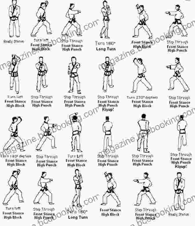 Step By Step Illustrations Showcasing Advanced Karate Techniques Karate Technique Spirit (Tuttle Martial Arts)