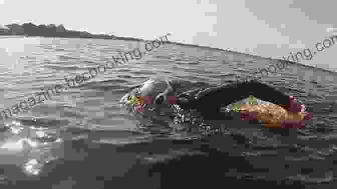 Swimmer Sighting And Breathing In Open Water Triathlon Swimming Made Easy: The Total Immersion Way For Anyone To Master Open Water Swimming