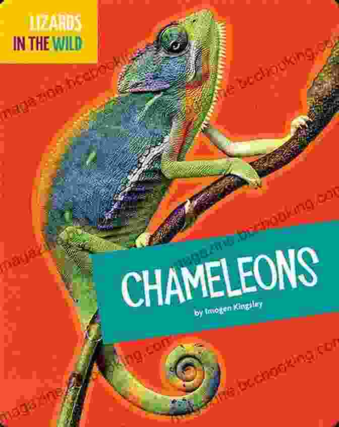 The Lizard And The Chameleon Book Cover The Lizard And The Chameleon
