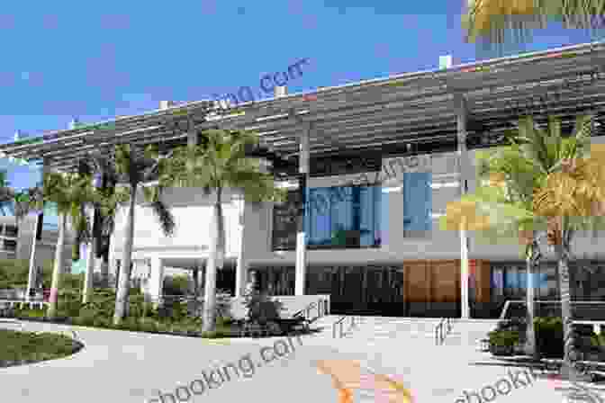 The Pérez Art Museum Miami In Miami 50 Free Things To Do In Miami (Budget Destination USA)