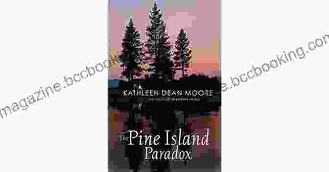 The Pine Island Paradox Book Cover The Pine Island Paradox: Making Connections In A Disconnected World