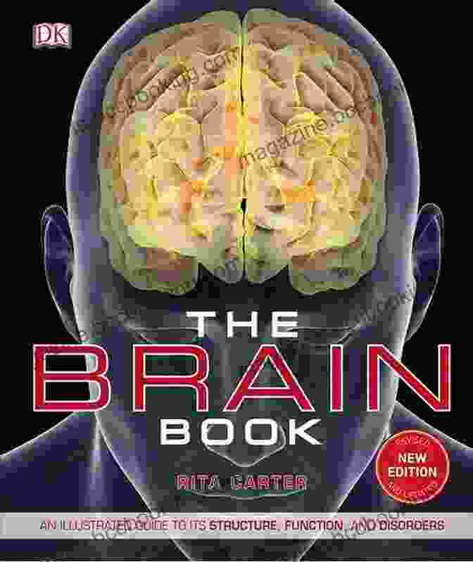 The Runner Brain Book Cover Runner S World The Runner S Brain: How To Think Smarter To Run Better