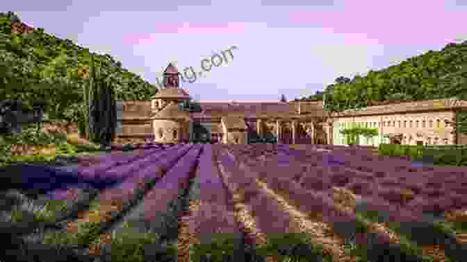 The Serene Senanque Abbey Nestled Amidst Lavender Fields An Insider S Guide To Provence