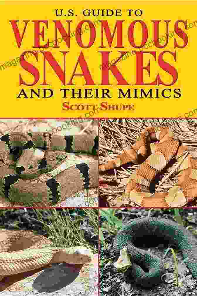 Venomous Snakes Diversity U S Guide To Venomous Snakes And Their Mimics