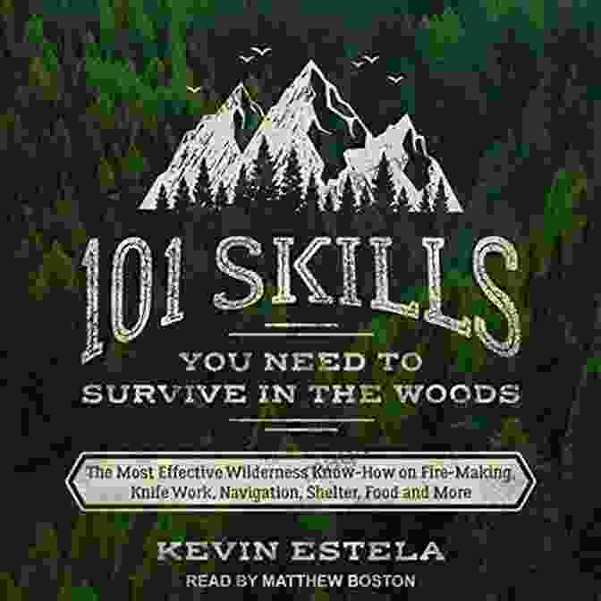 Wilderness Survival Skills: Fire Making, Knife Work, And Navigation 101 Skills You Need To Survive In The Woods: The Most Effective Wilderness Know How On Fire Making Knife Work Navigation Shelter Food And More