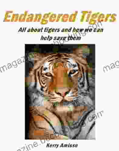Endangered Tigers Tiger Facts What Do Tigers Eat? Where Do Tigers Live? Save Tigers The Endangered Big Cats With Beautiful Color Photos
