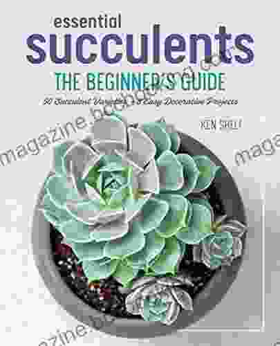 Essential Succulents: The Beginner S Guide