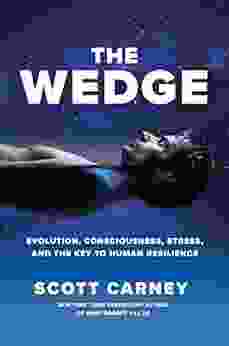 The Wedge: Evolution Consciousness Stress And The Key To Human Resilience