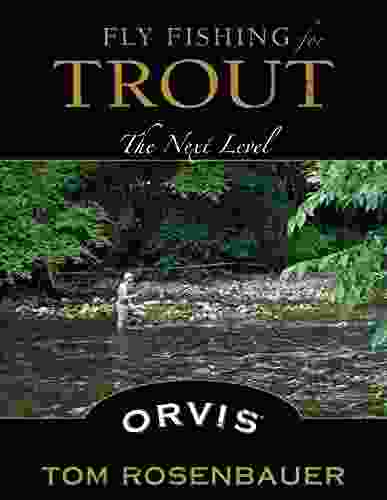 Fly Fishing For Trout: The Next Level