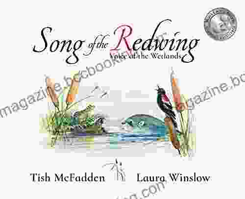 Song Of The Redwing: Voice Of The Wetlands