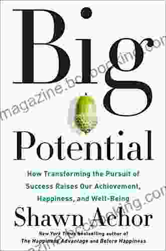 Big Potential: How Transforming The Pursuit Of Success Raises Our Achievement Happiness And Well Being